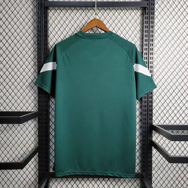 Camisa De Futebol Palmeiras 23/24 Treino Verde - Shark Store